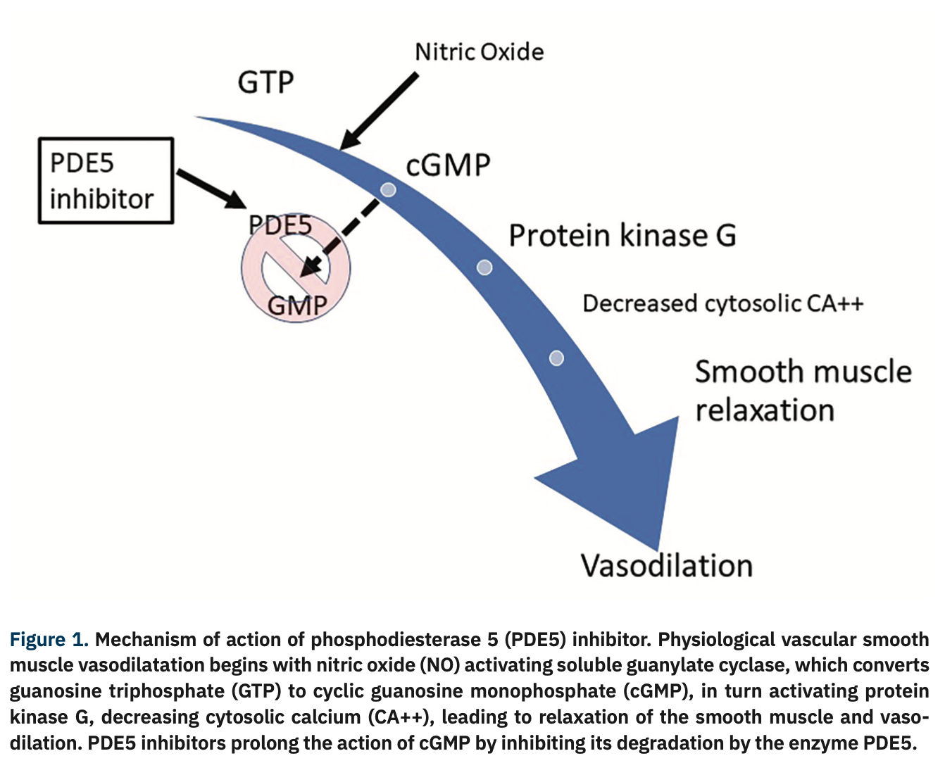 Your Patient Took Sildenafil Last Night. Should You Cancel the ...